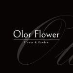 olorflower 프로필 사진