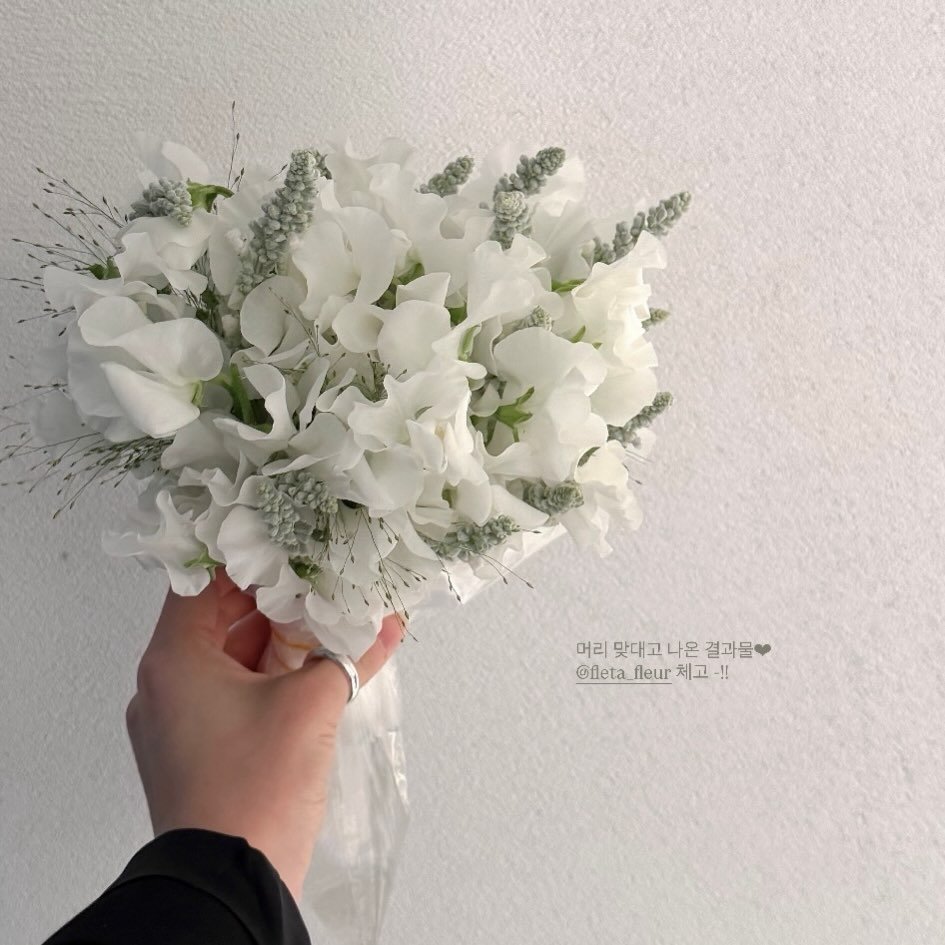 fleta_fleur 게시물 이미지: ✨
.
.
.
.
.
.
#플레타플레르