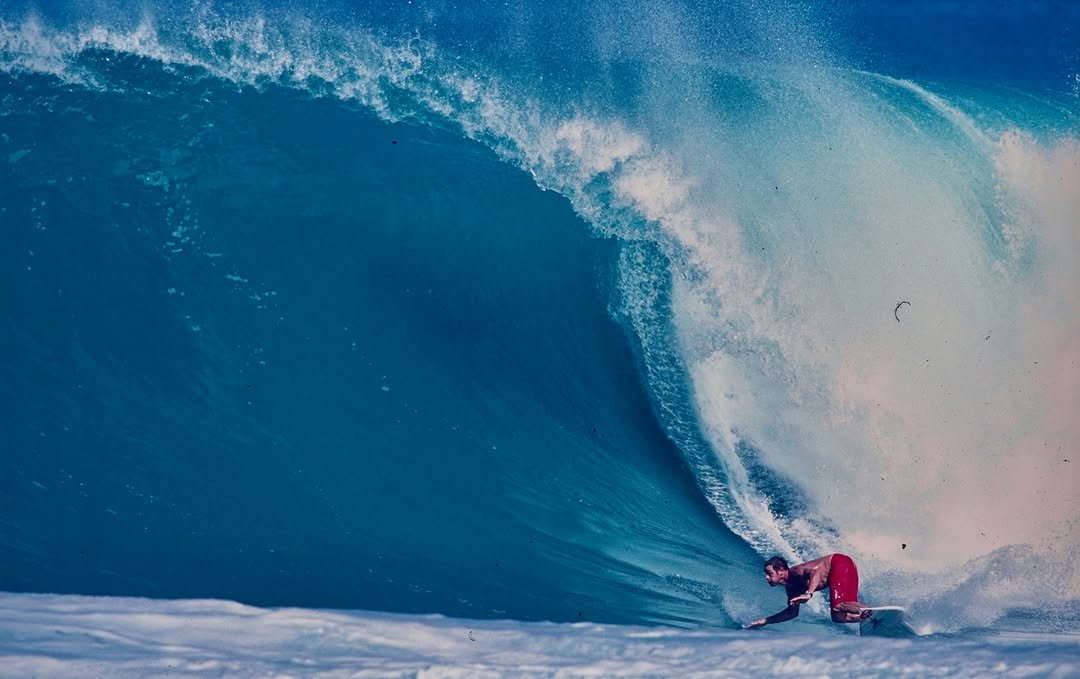 flipperhawaii 게시물 이미지: Happy Birthday Taylor Knox! 🎉 @taylor_knox