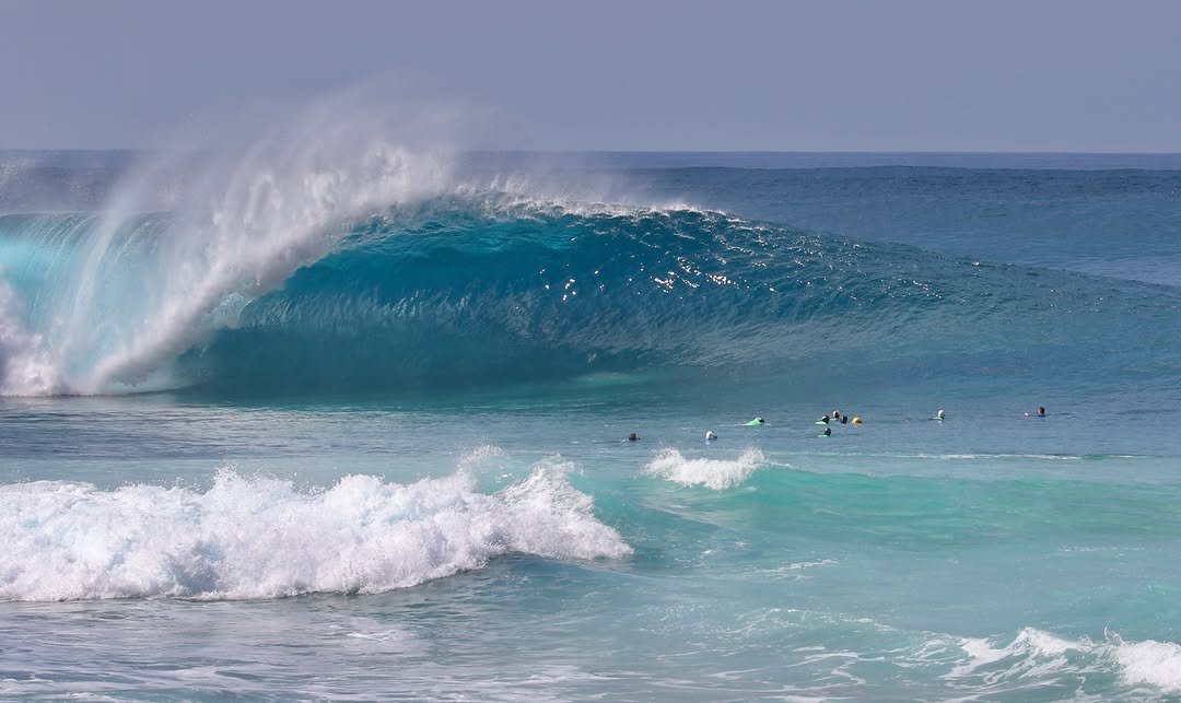 flipperhawaii 게시물 이미지: Pipeline