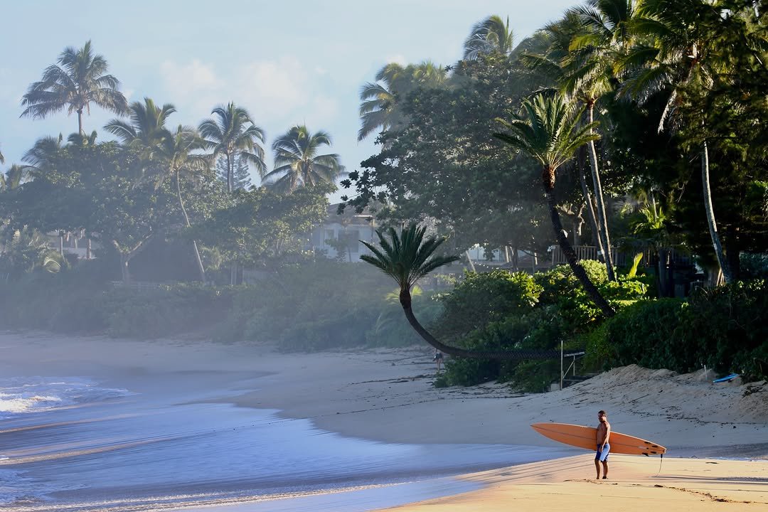 flipperhawaii 게시물 이미지: North Shore wintertime seems so far away from now
