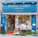 yeiji_mirageflower 프로필 사진