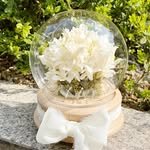 arom_blanc_bouquet 프로필 사진