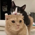 rubean_pp 프로필 사진
