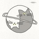 streetcat_papa 프로필 사진