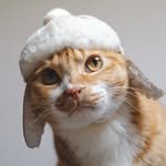 youja._.mong 프로필 사진