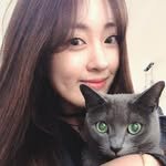 bomgom.cat 프로필 사진