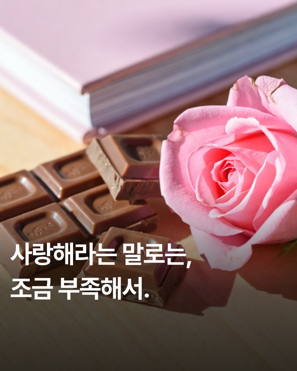 Photo by FLYBOOK 플라이북 | 국내 대표 소셜 리딩 앱 on February 11, 2026. May be an image of rose and text that says '사랑해라는 말로는, 조금 부족해서.'.