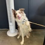 kwon_1421 프로필 사진