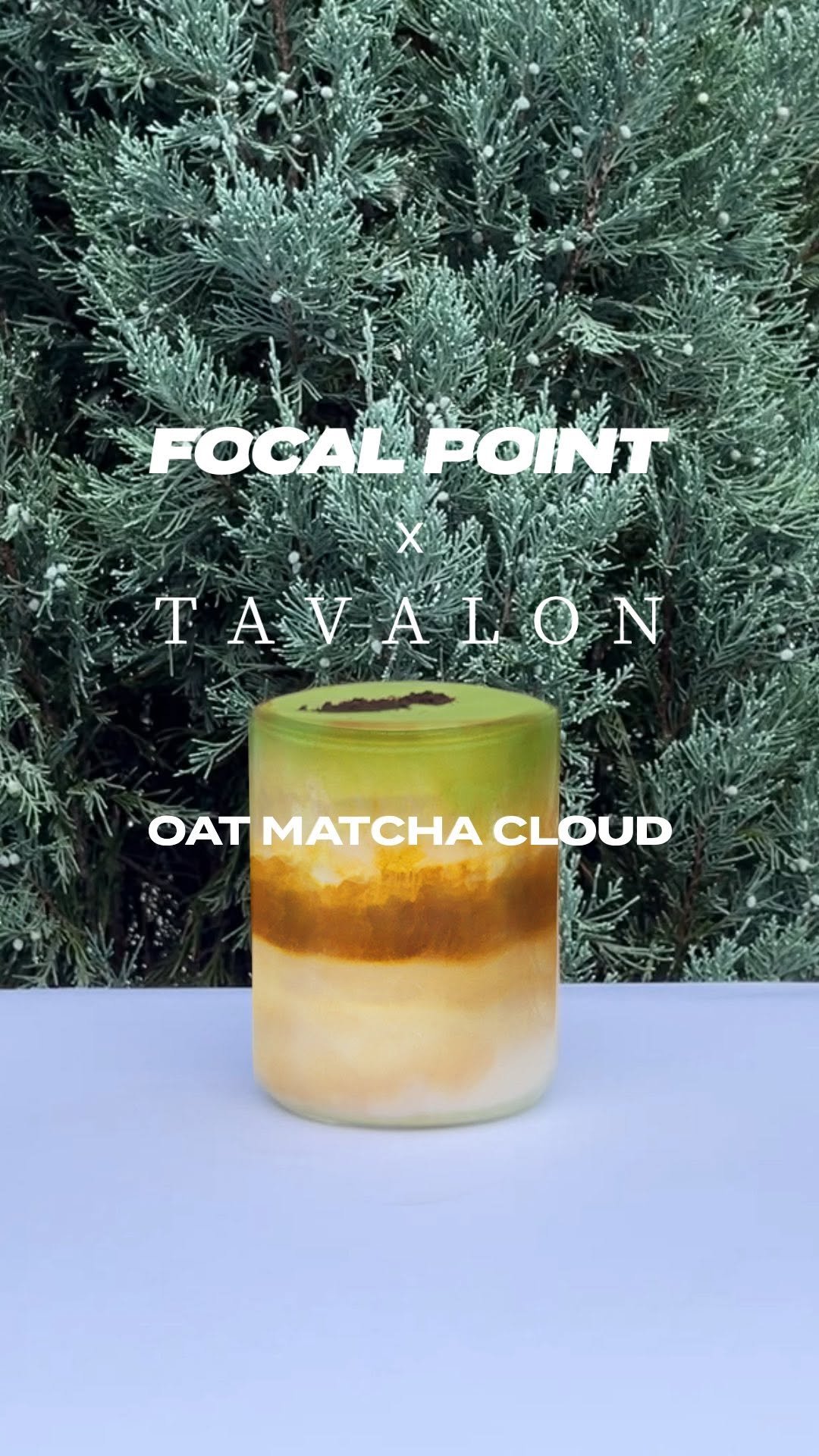 focal.point.official 게시물 이미지: ⠀
FOCAL POINT X TAVALON
⠀
💚OAT MATCHA...