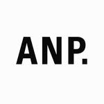 npstudio.official 프로필 사진