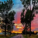 follow_for_follow3728 프로필 사진