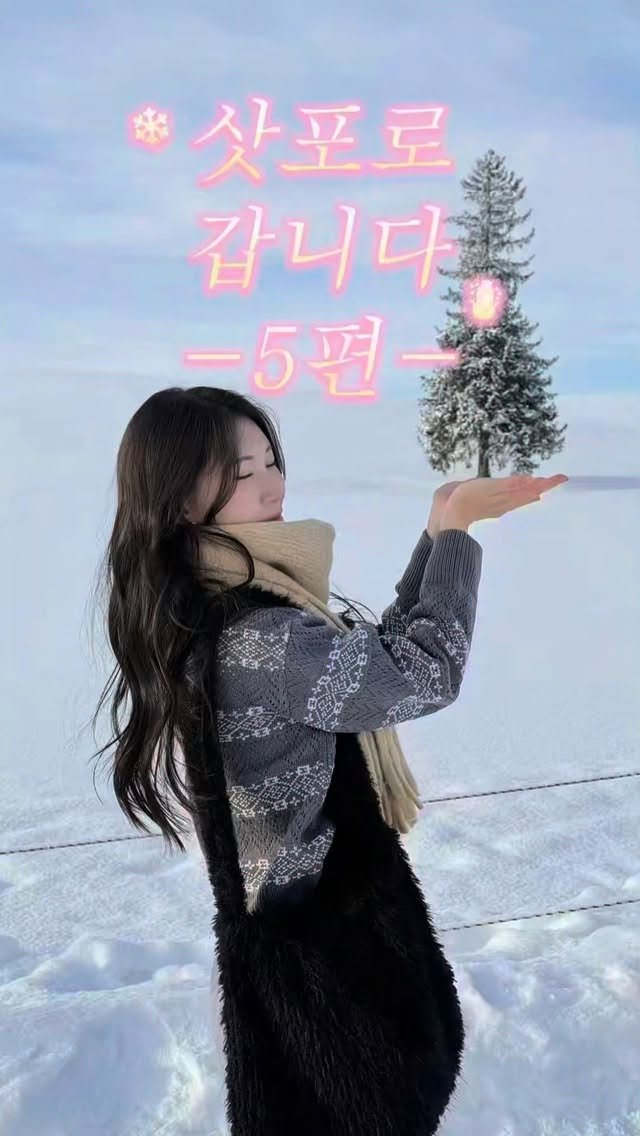 fomingmuse 게시물 이미지: 삿포로 브이로그 마지막 편 ☃️

정신없던 폭설 속에서도
결국 예쁜 장면은...