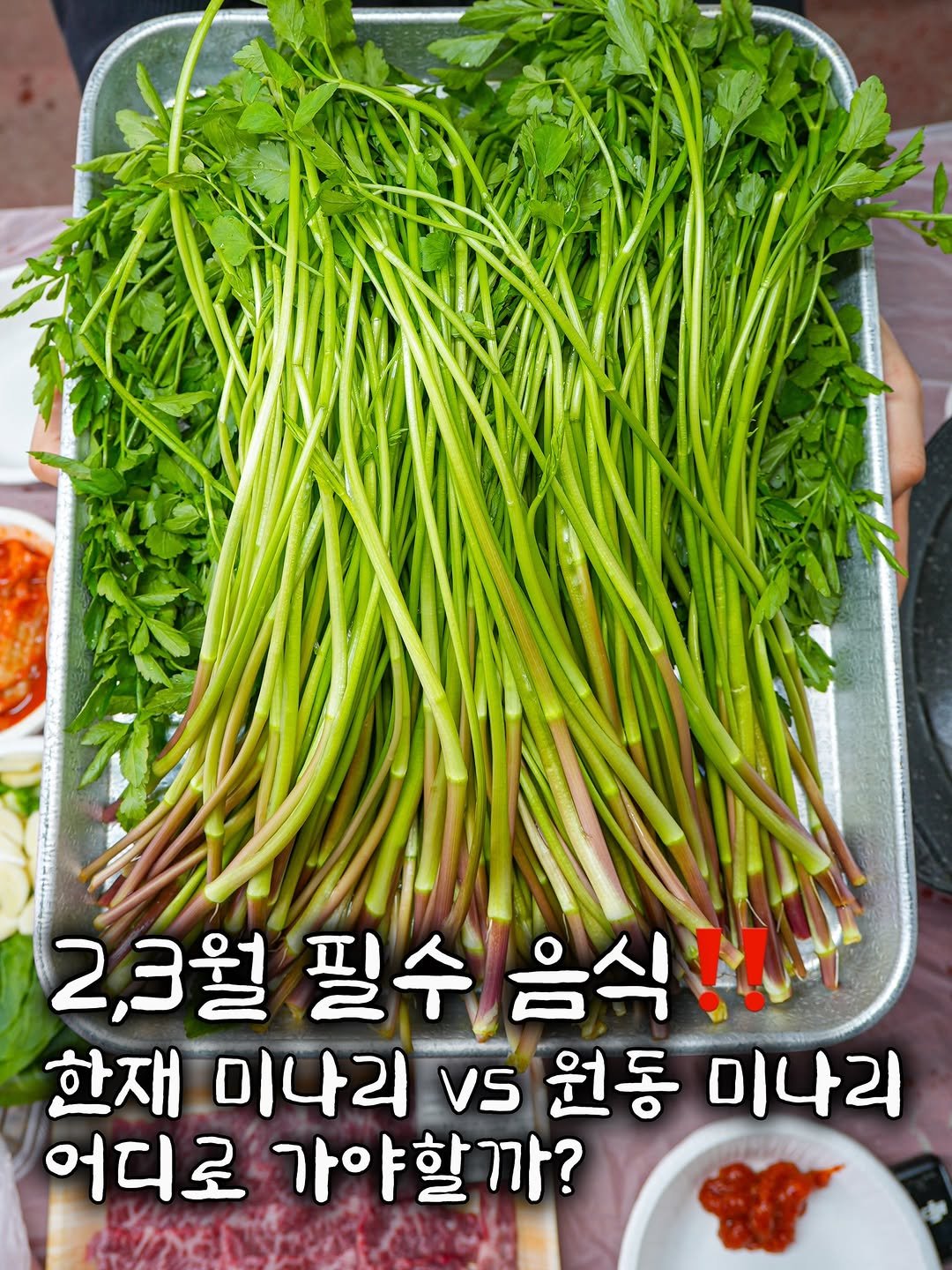 Photo by 맛관부 on February 16, 2026. May be an image of asparagus and text that says '2,3월 필수 필수음식!!다 음식!! 한재 미나리 Vs 원동 미나리 어디로 가야할까?'.