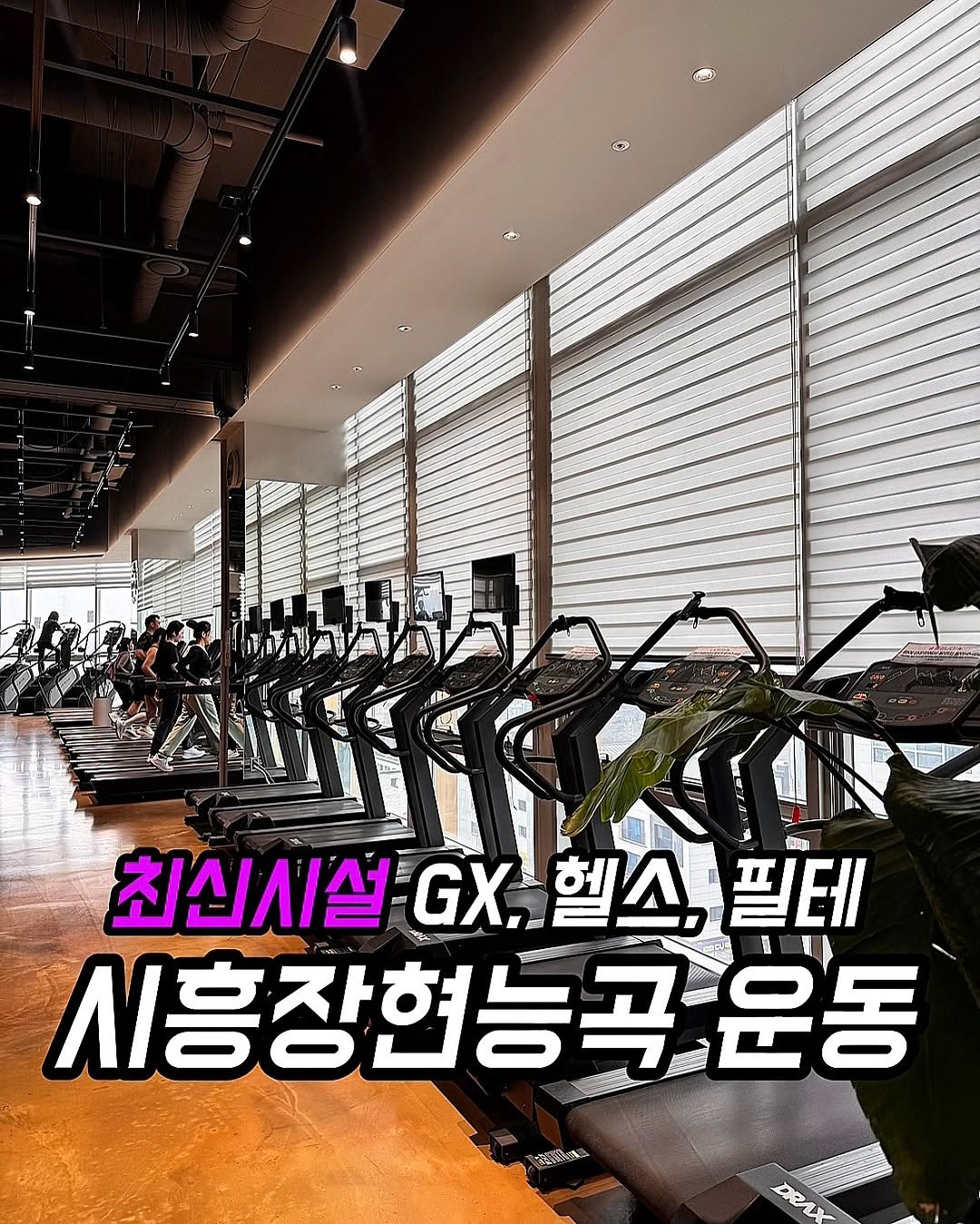 Photo by 푸드먹자 [ 부천맛집 | 서울맛집 | 요즘핫플 ] on February 21, 2026. May be an image of ‎text that says '‎الهت ® בתתשתרו"וז רעמק 2ውጣ 山代 최신시설 GX. 최신시설...헬스 헬스, GX헬스,필테 필테 시흥장현능곡은 운동 桃魔 ΕΕι‎'‎.