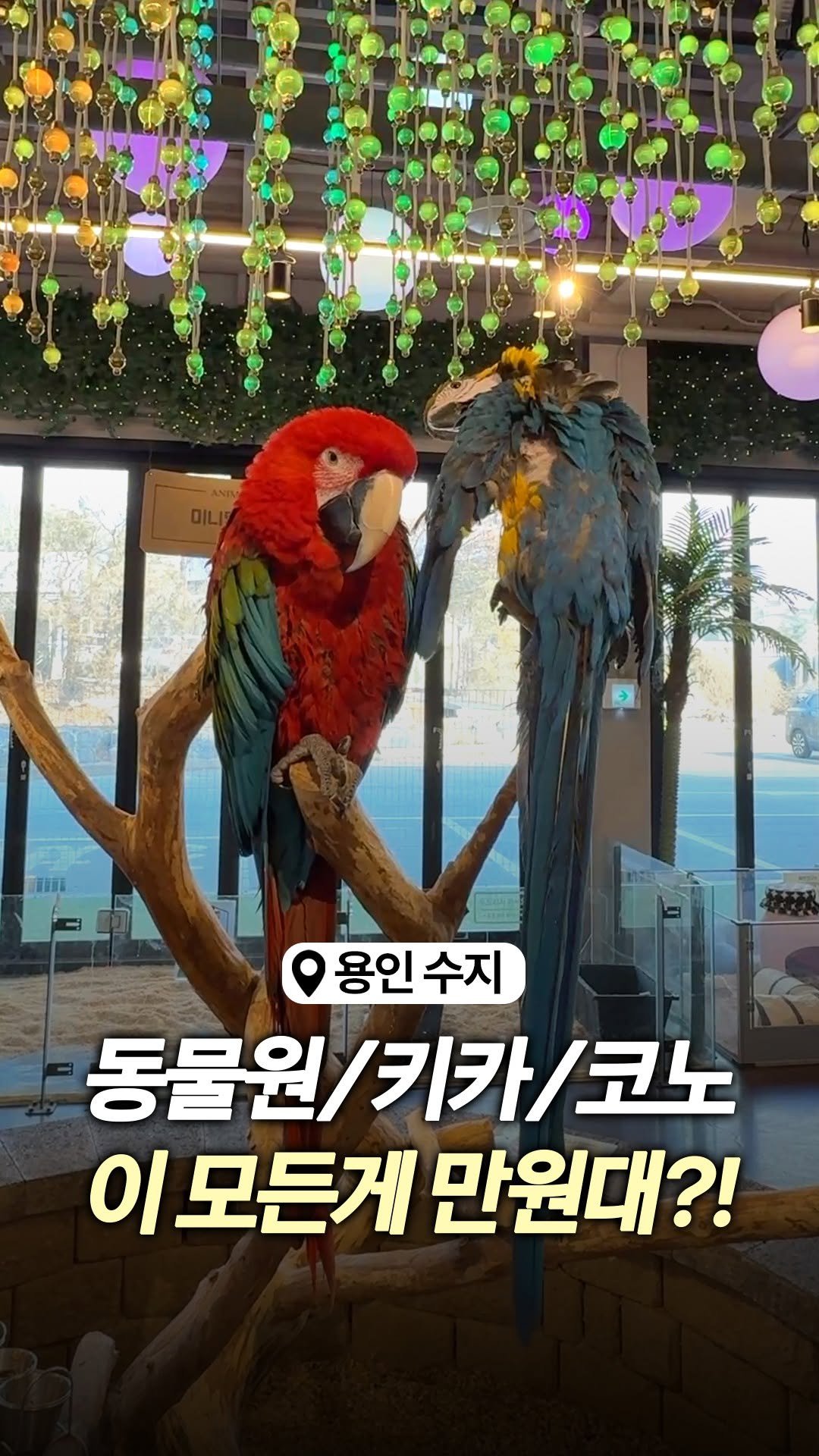food_suwon 게시물 이미지: 수원 근교에 👉🏻동물원 👉🏻키즈카페 👉🏻코인노래방 
이 모든걸 올인원...