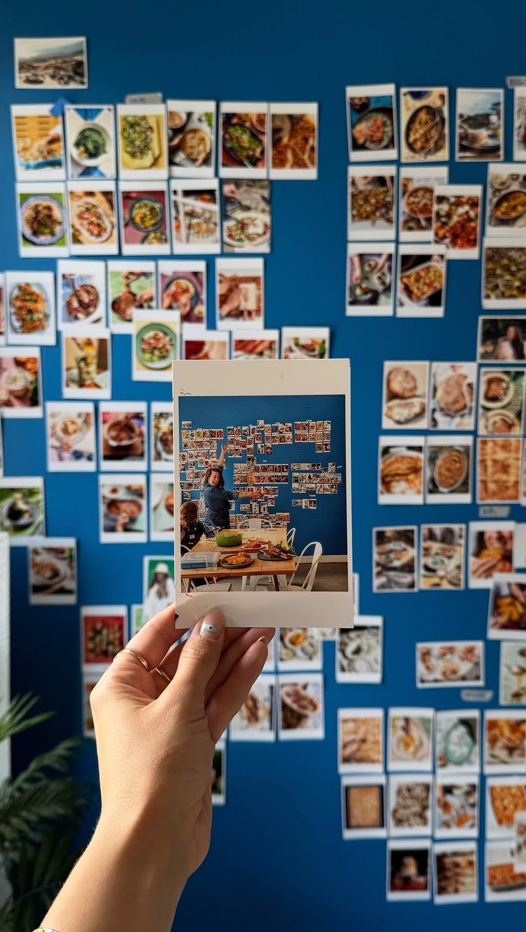 foodbymaria 게시물 이미지: INTRODUCING GREEK OUT!!!!!! My cookbook...