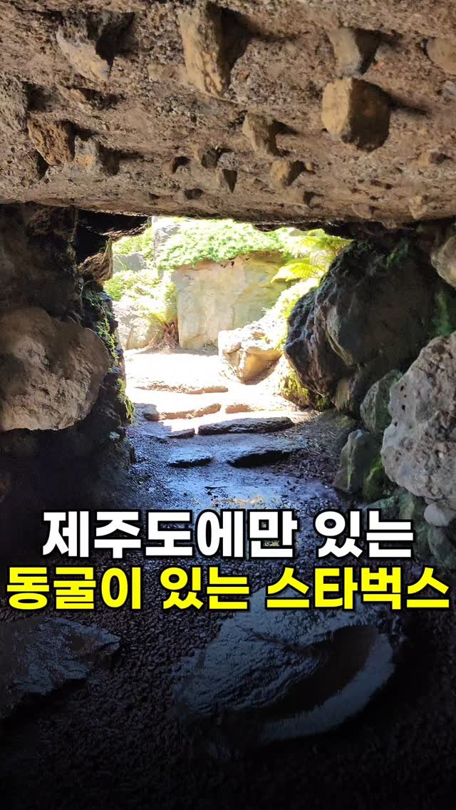 foodminister_ 게시물 이미지: 동굴 스타벅스?!

국내 최대 규모의 스타벅스 러저브 전용 매장이자
스타벅스의...