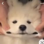 tpahtjf 프로필 사진