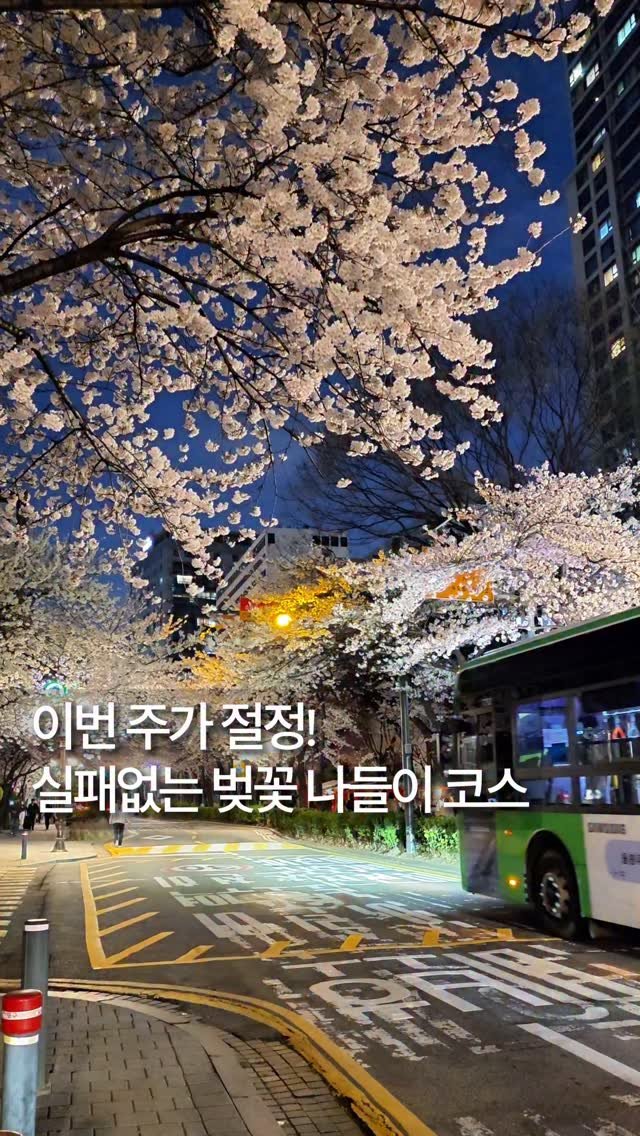 foody_hun 게시물 이미지: 마포 벚꽃 터널 스팟 🌸💗
마포역 염리초 근처 벚꽃 터널이 펼쳐지는데 
여기에 벚꽃...