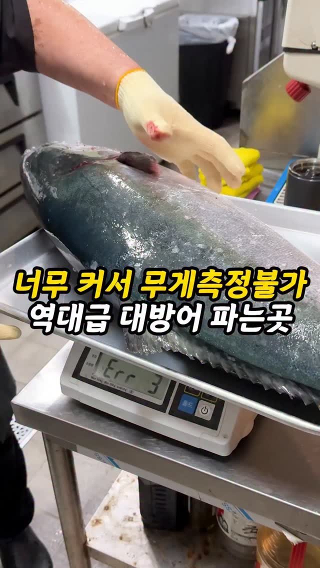 foogle__ 게시물 이미지: 저장필수)무게측정도 안되는 특대방어 파는곳

여러분, 대방어 좋아하면 여기는 무조건...