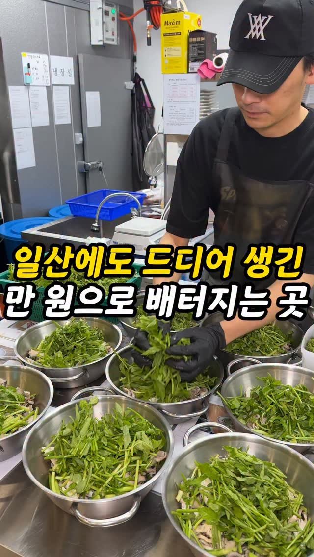 foogle__ 게시물 이미지: 공유필수)드디어 일산에도 요즘 난리난 칼국수 생김

여러분 일산동구에 드디어...