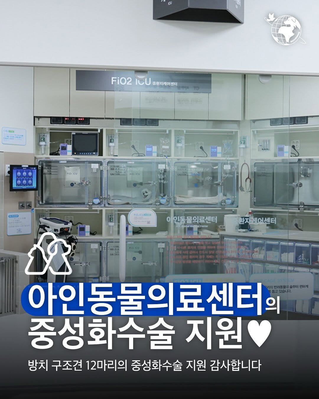 Photo by 포캣멍센터 on November 01, 2025. May be an image of display case and text that says '4 មិ Fi02 F2 ICU 중환자케어센터 eee 000 sokcurtaa 이인동물의료센터 글의료센터 아인 감자에에센터 iR 아인동물의료센터o 료센터의 의 중성화수술 지원 방치 구조견 12마리의 중성화수술 지원 감사합니다'.