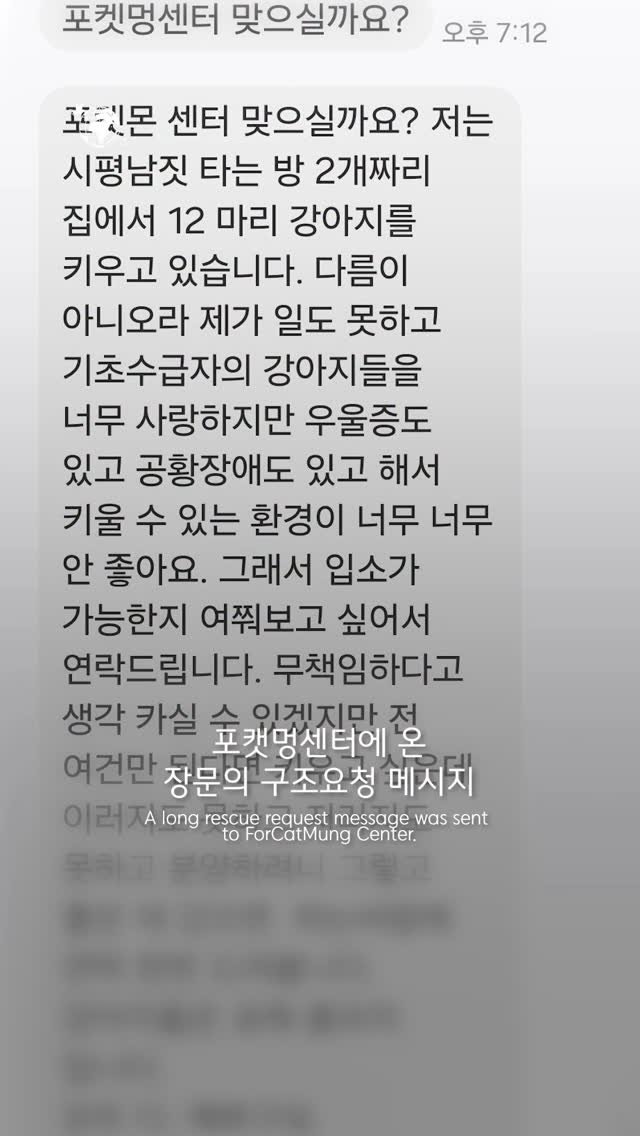 forcatmung_center 게시물 이미지: 학대를 당하고 있는 아이들을 구한 보호자와
12마리 포메라니안들의...