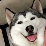 cute_booqoo 프로필 사진