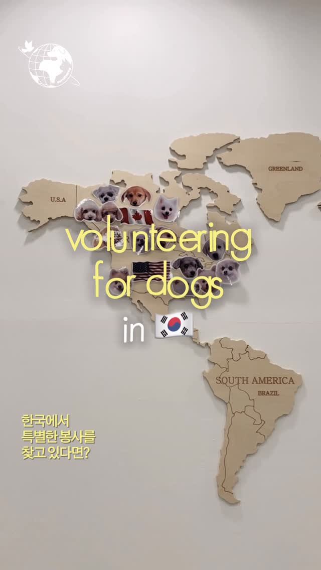 forcatmung_center 게시물 이미지: 🌏한국에서의 특별한 봉사를 찾고 있는 외국인 분들, 주목!🌏

지난 3월,...