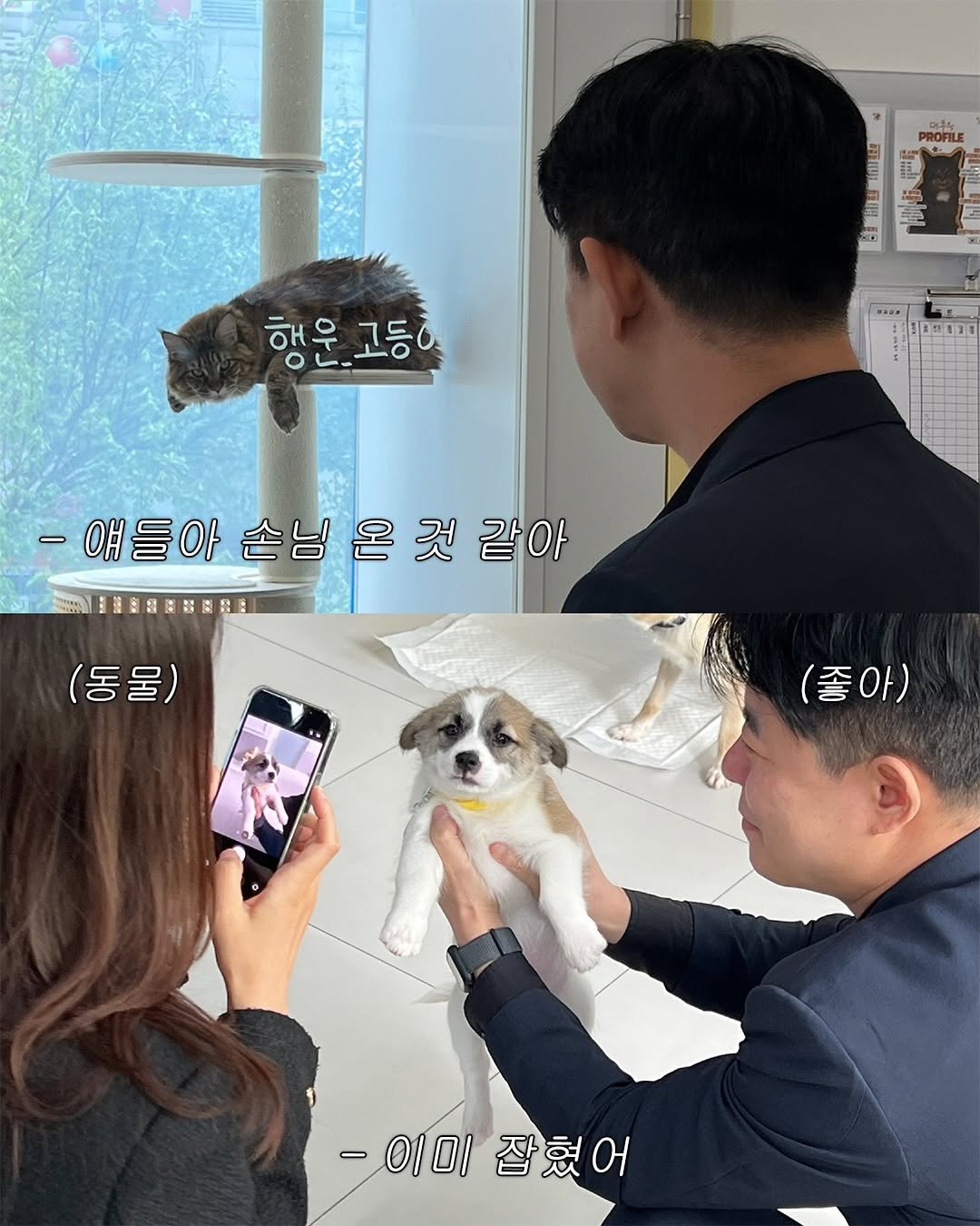 forcatmung_center 게시물 이미지: 센터 아이들이 맛있는 식사를 할 수 있도록,
동물보호의 뜻을 함께해주시는...