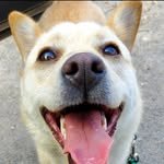 pretty_sundoll 프로필 사진