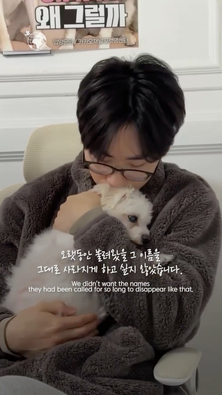 forcatmung_center 게시물 이미지: 방문 하나를 사이에 두고
엄마와 헤어져야 했던 아이들.

이름 없이 남겨질...