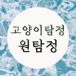 one_room_cat 프로필 사진