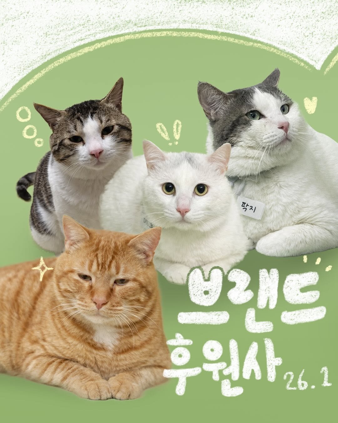Photo by 포캣멍센터 on February 01, 2026. May be a doodle of kitten, Abyssinian cat, poster and text that says '팍지 브래트 후원사 26.1'.