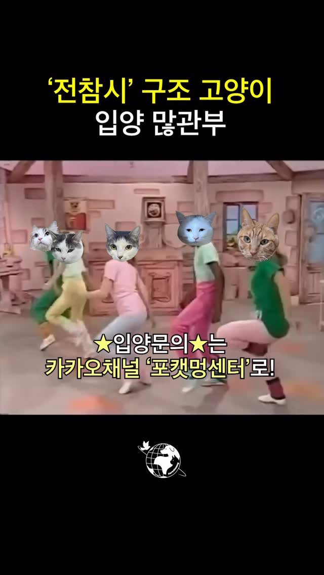 forcatmung_center 게시물 이미지: 10마리 고양이 아이들의 가족이 되어주세요

동물보호의 뜻을 함께해 주세요
📌 기업...