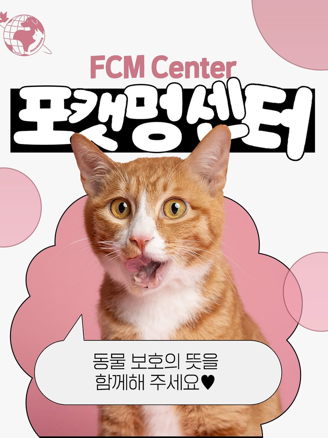 Photo by 포캣멍센터 on September 01, 2025. May be a doodle of kitten, Abyssinian cat, poster, card and text that says 'FCM Center 포캣멍센터 동물 보호의 뜻을 함께해 주세요'.