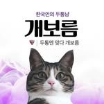 korean_headache_cat 프로필 사진