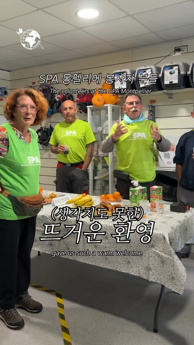 forcatmung_center 게시물 이미지: 지난 프랑스 출장 중 몽펠리에에 위치한 보호소, SPA...
