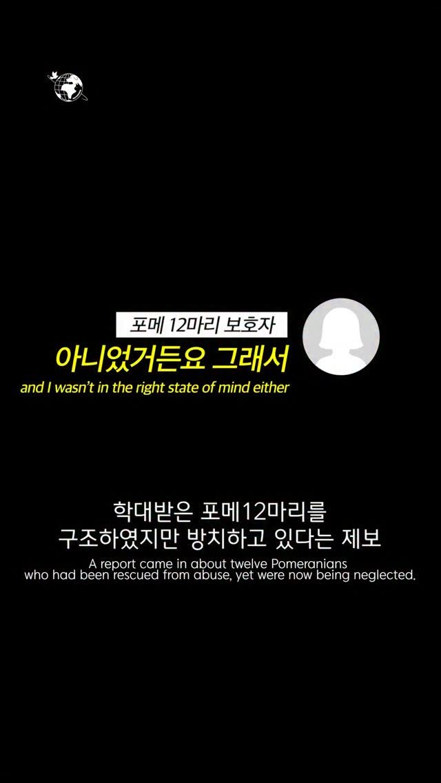 forcatmung_center 게시물 이미지: 방치에서 구조된 12마리의 포메라니안들이
가족을 찾을 수 있게...