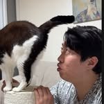 under_world_b1 프로필 사진