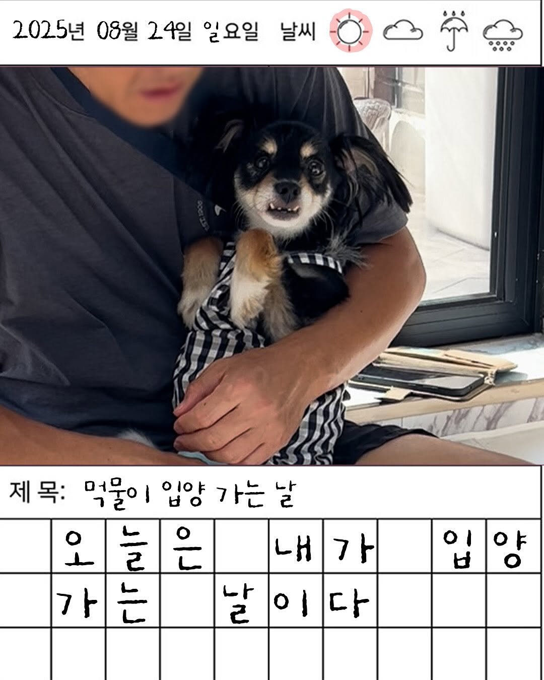 Photo by 포캣멍센터 on September 29, 2025. May be an image of 1 person, crossword puzzle and text that says '2025년 08월 24일 일요일 날씨 제목: 제목 먹물이 입양 가는 날 늘 은 내 가 가 는 날이다 이다 이 나 ㄹ 다 야'.
