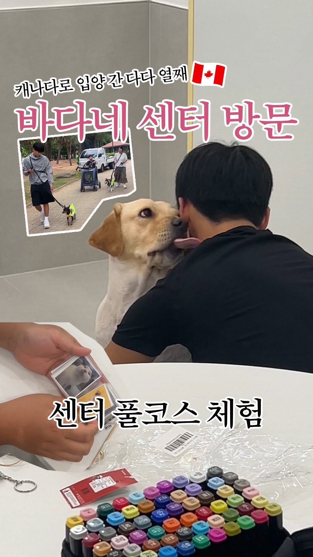 forcatmung_center 게시물 이미지: 다다의 10마리 새끼들 중 한 마리였던 바다

이번에 바다 가족분들께서 한국에...