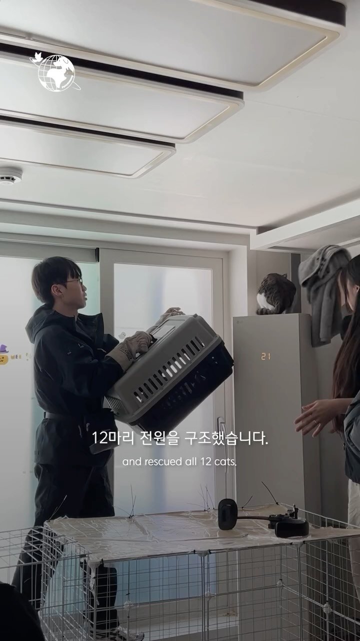 forcatmung_center 게시물 이미지: 처음은 한 아이의 구조였습니다.

하지만 문을 열었을 때,
그 안에는 12마리가...