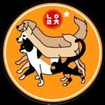 na.reng.achi 프로필 사진