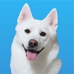 dodam_0526 프로필 사진