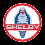 shelbyamerican 프로필 사진