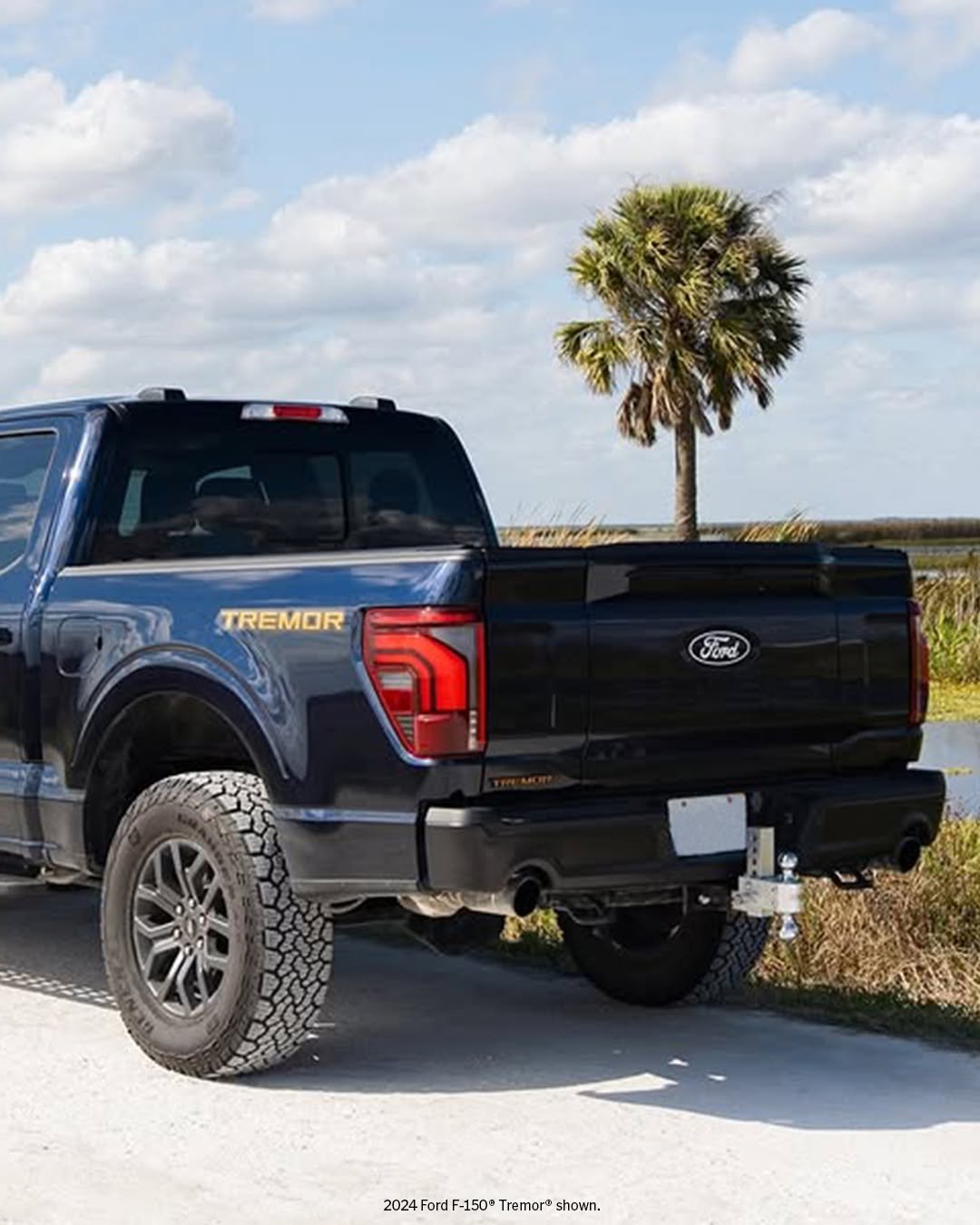 ford 게시물 이미지: Sand and surf are no match for the Ford F-150®...