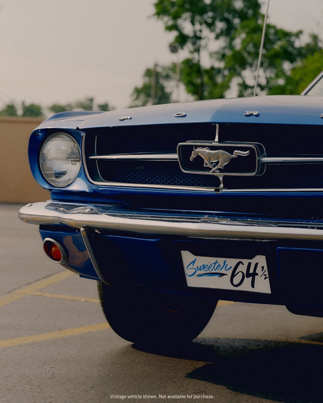 fordmustang 게시물 이미지: Timeless touch. 

Terry Perry is the proud...