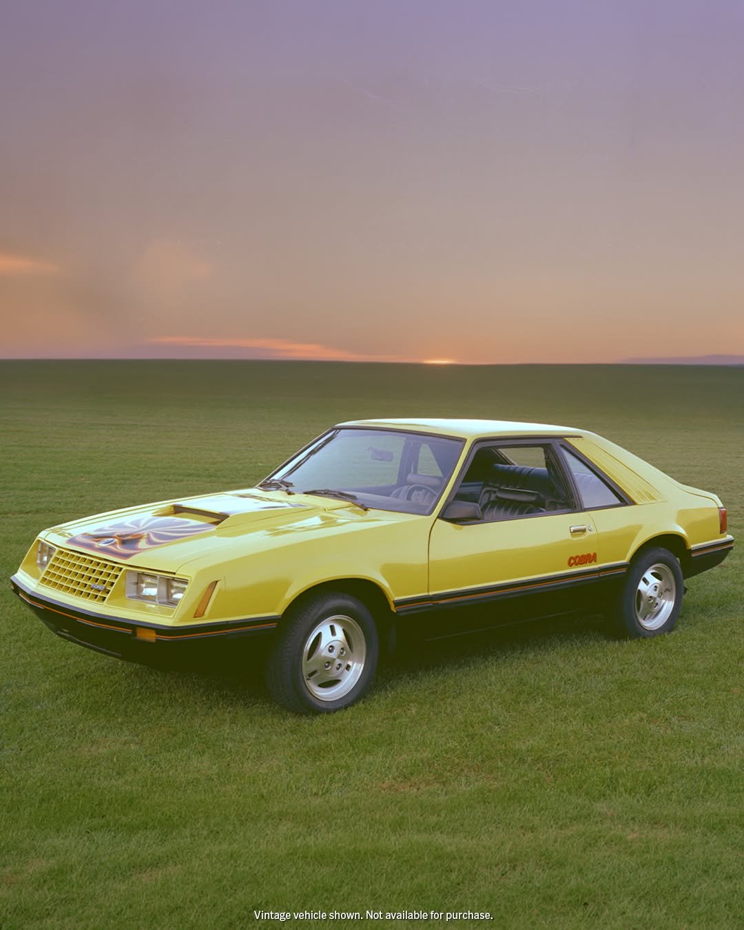 fordmustang 게시물 이미지: The introduction of an icon. 

In 1974, the...
